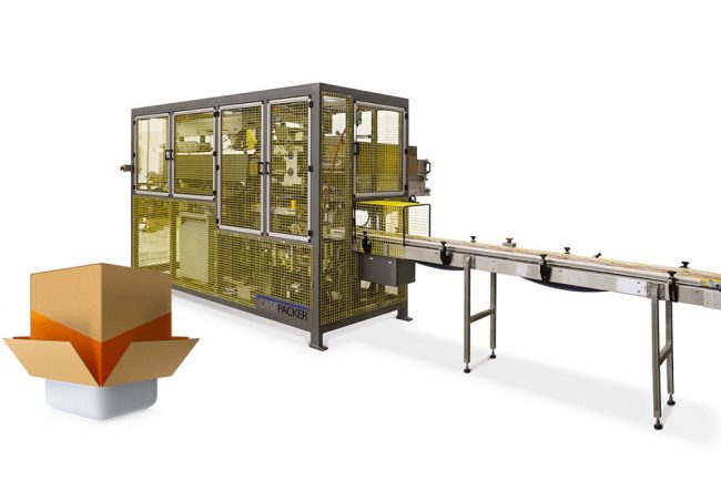 bottom load case packing machine